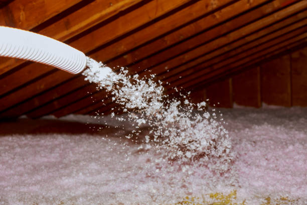 Best Specialized Insulation Services in Imlay City, MI