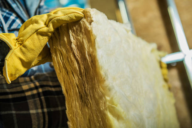 Best Geographic-Specific Insulation Services in Imlay City, MI
