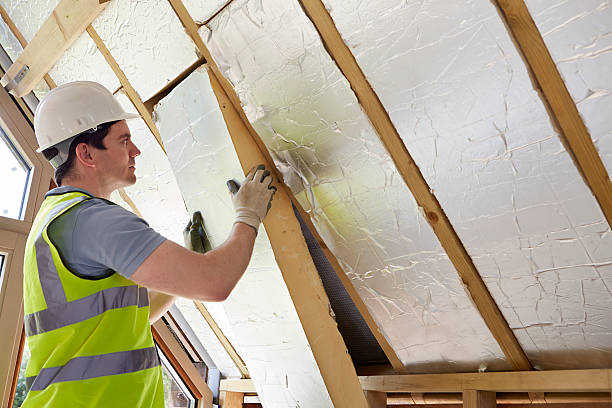 Best Cellulose Insulation in Imlay City, MI