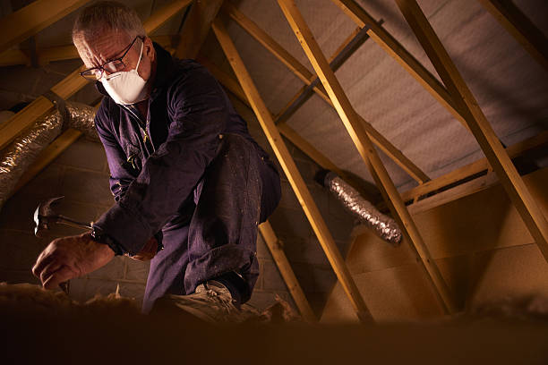 Best Blown-in Insulation in Imlay City, MI